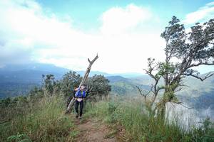 BIB: 
                            <button type="button" onclick="openModal(22372258)" class="btn btn-primary btn-sm float-right btn-popup" data-toggle="modal" data-target=".modal-high-quality">
                        <i class="fas fa-shopping-cart"></i> Add to Cart
                    </button>
                                            <button type="button" onclick="isThisMe(22372258, true)" class="btn btn-success btn-sm float-right btn-popup btn-isme hidden" data-toggle="tooltip" data-placement="bottom" title="นี่คือรูปของคุณใช่ไหม คลิกที่นี่เพื่อเอาเข้าอัลบั้ม">
                        <i class="fas fa-plus"></i> Add to album
                    </button>
                    <button type="button" onclick="isThisMe(22372258, false)" class="btn btn-warning btn-sm float-right btn-popup btn-isnotme hidden">
                        <i class="fas fa-ban"></i> Remove from album
                    </button>